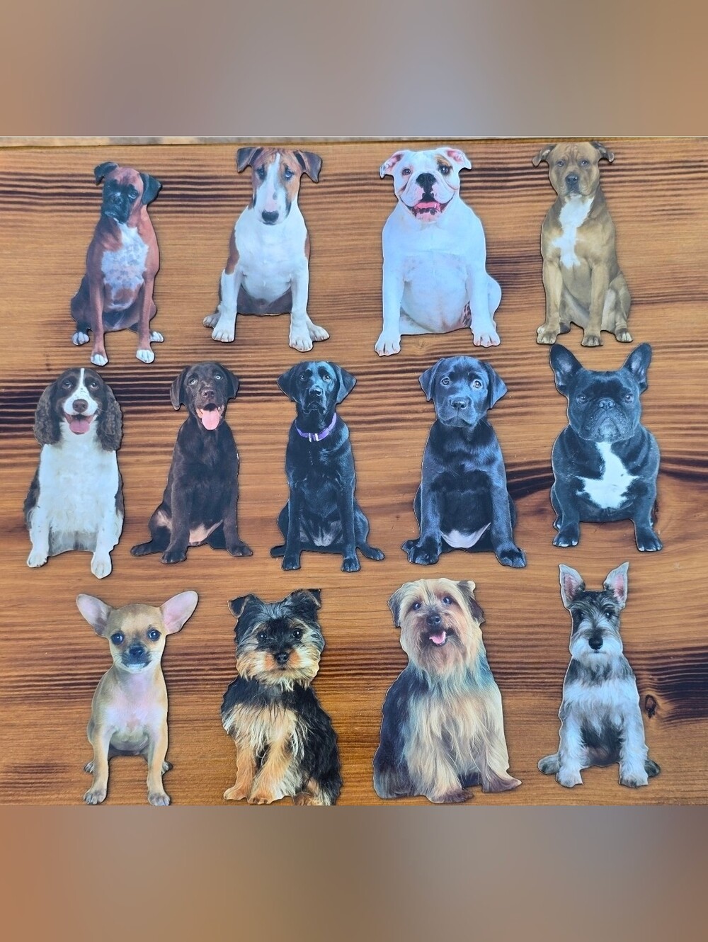 Lot Of 13 Paper House Dog Breed Refrigerator Magnets
